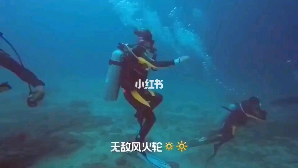 虎胆熊威2中文无敌版